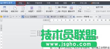 wps怎么设置段落标记