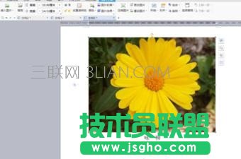 wps如何设置图片置于文字下方