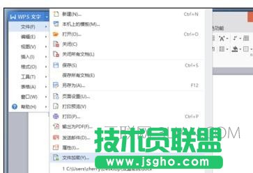 wps文字密码如何设置