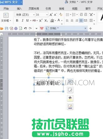 wps文字如何设置形状格式
