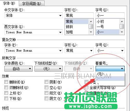 word中给文字加重号的技巧