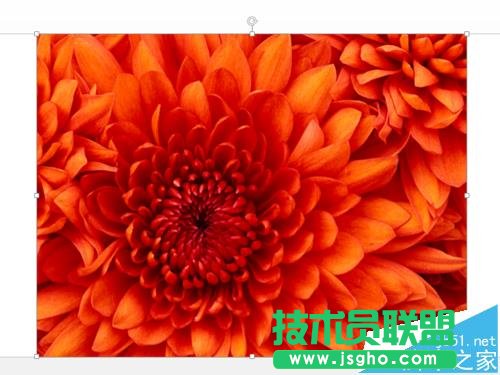ppt幻灯片如何将图片置于底层