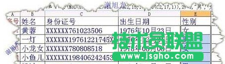 excel男女性别录入   三联