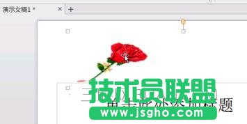 wps演示如何插入GIF图_wps演示怎么插入动态图