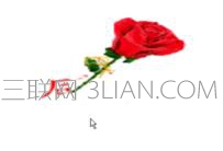 wps演示如何插入GIF图_wps演示怎么插入动态图