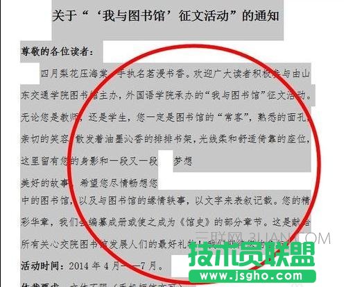 word文件如何进行分栏
