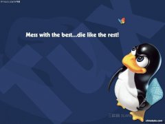 linux怎么看内存大小