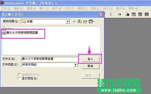 Authorware多媒体教学课件如何插入动画
