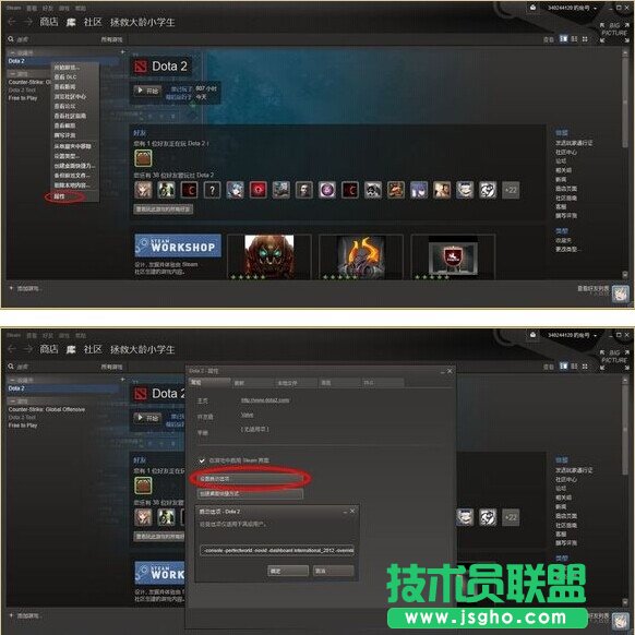 资深攻略！教你如何玩转《DOTA2》