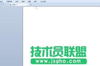 wps怎样插入罗马数字
