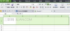 wps表格如何加斜杠