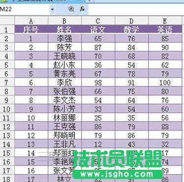 wps表格怎么套用样式