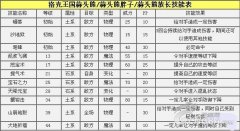 《洛克王国》蒜头熊解析