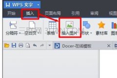 怎么在wps图片旁写文字