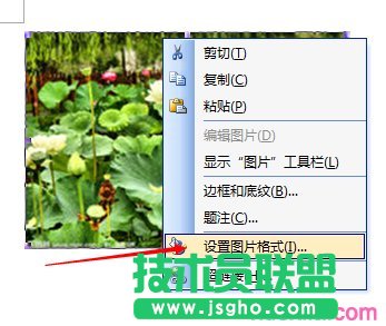 word如何设置图片像素点
