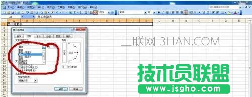 设置excel表格标题