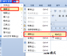 怎么删除wps中的文字