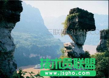玩游戏选显卡a卡和n卡 三联