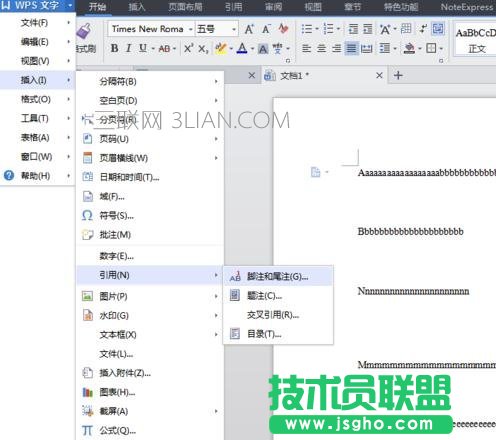 wps尾注怎么添加