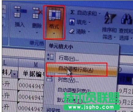 excel表格怎么调整行高