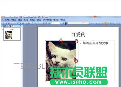ppt怎么设置文字环绕