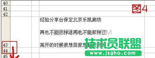 excel表格怎么调行间距