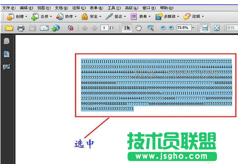 pdf怎么统计字数