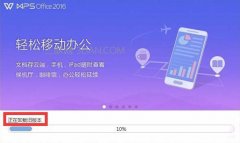wps表格中的文字如何设置竖向显示