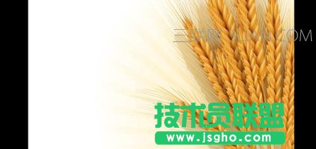 wps演示幻灯片页面大小怎么设置