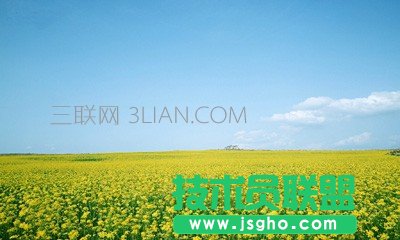 如何在ppt中加多行水印 三联