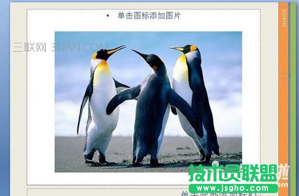 如何修改ppt版式中的内容