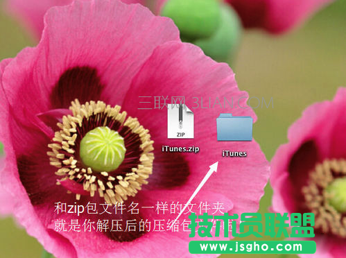 苹果电脑怎么解压文件
