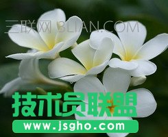 wps表格使用技巧 三联