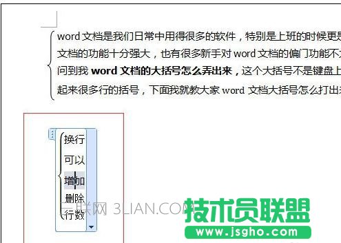 word中输入大括号的方法