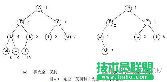 c语言 树的基础知识(必看篇) 三联