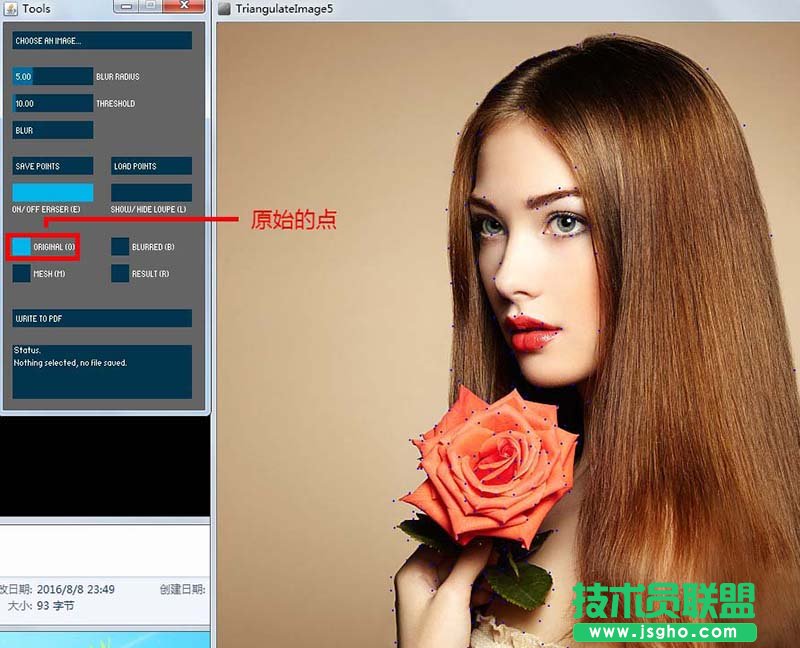 TriangulateImage5如何制作LOWPOLY低多边形效果
