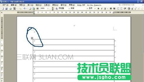 怎么用word制作信纸