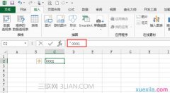 excel表格0001怎么打