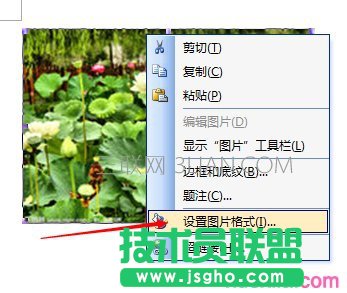 word怎么设置图片像素点