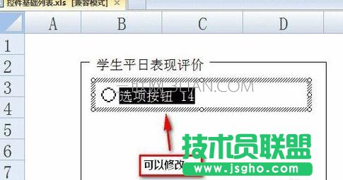excel如何利用窗体控件插入单选框