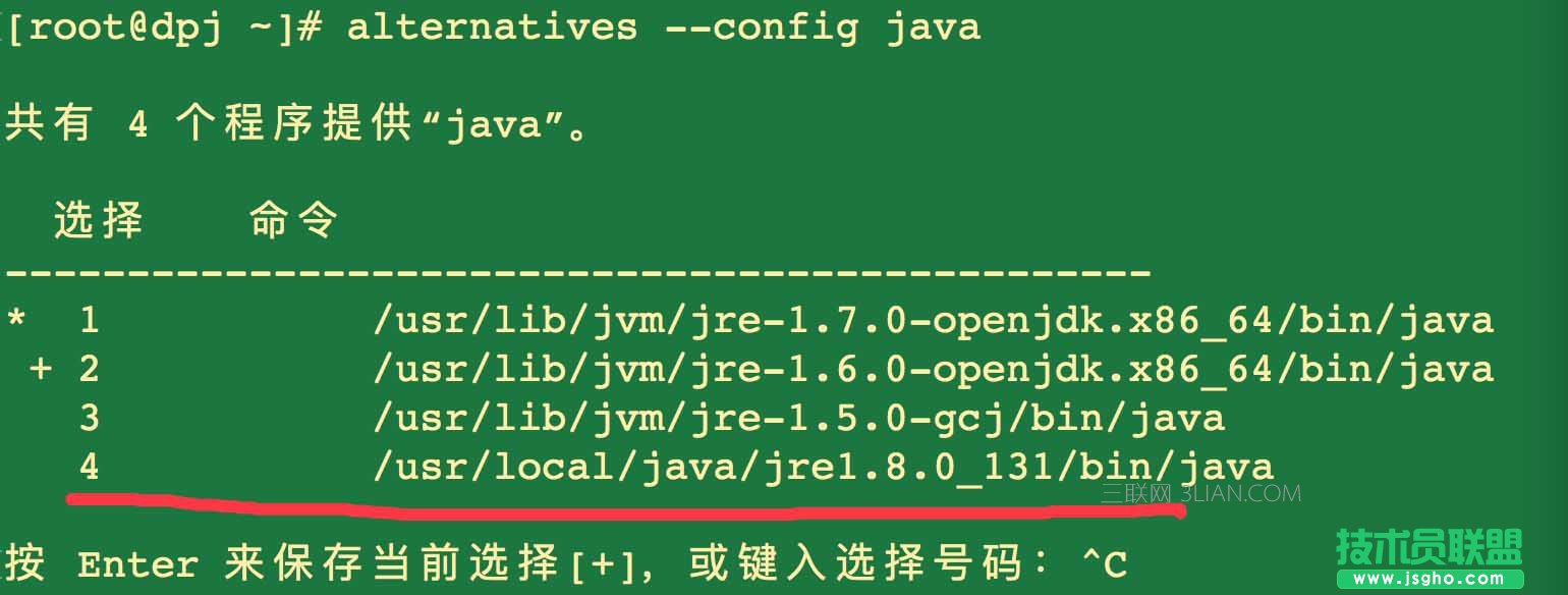 Linux的alternatives命令如何替换选择软件