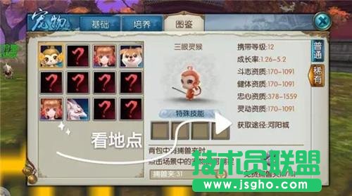诛仙手游稀有宠物怎么抓 诛仙手游宠物刷新时间