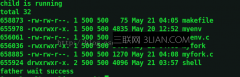 Linux进程替换(exec函数实现代码