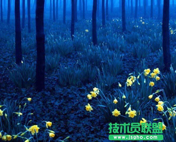 axure如何制作淘宝图片轮播效果 三联