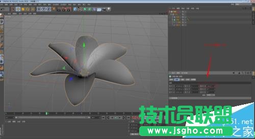 C4D如何制作花开的动画效果