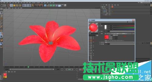 C4D如何制作花开的动画效果