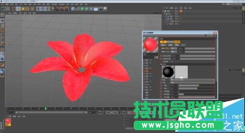 C4D如何制作花开的动画效果