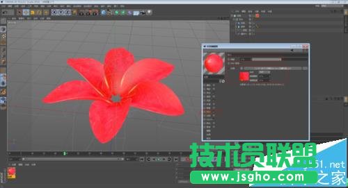 C4D如何制作花开的动画效果