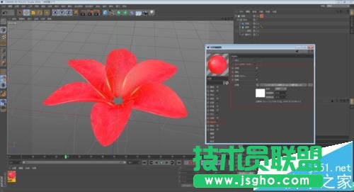 C4D如何制作花开的动画效果