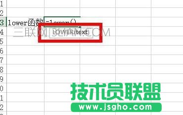Excel中如何将文本转换为小写形式